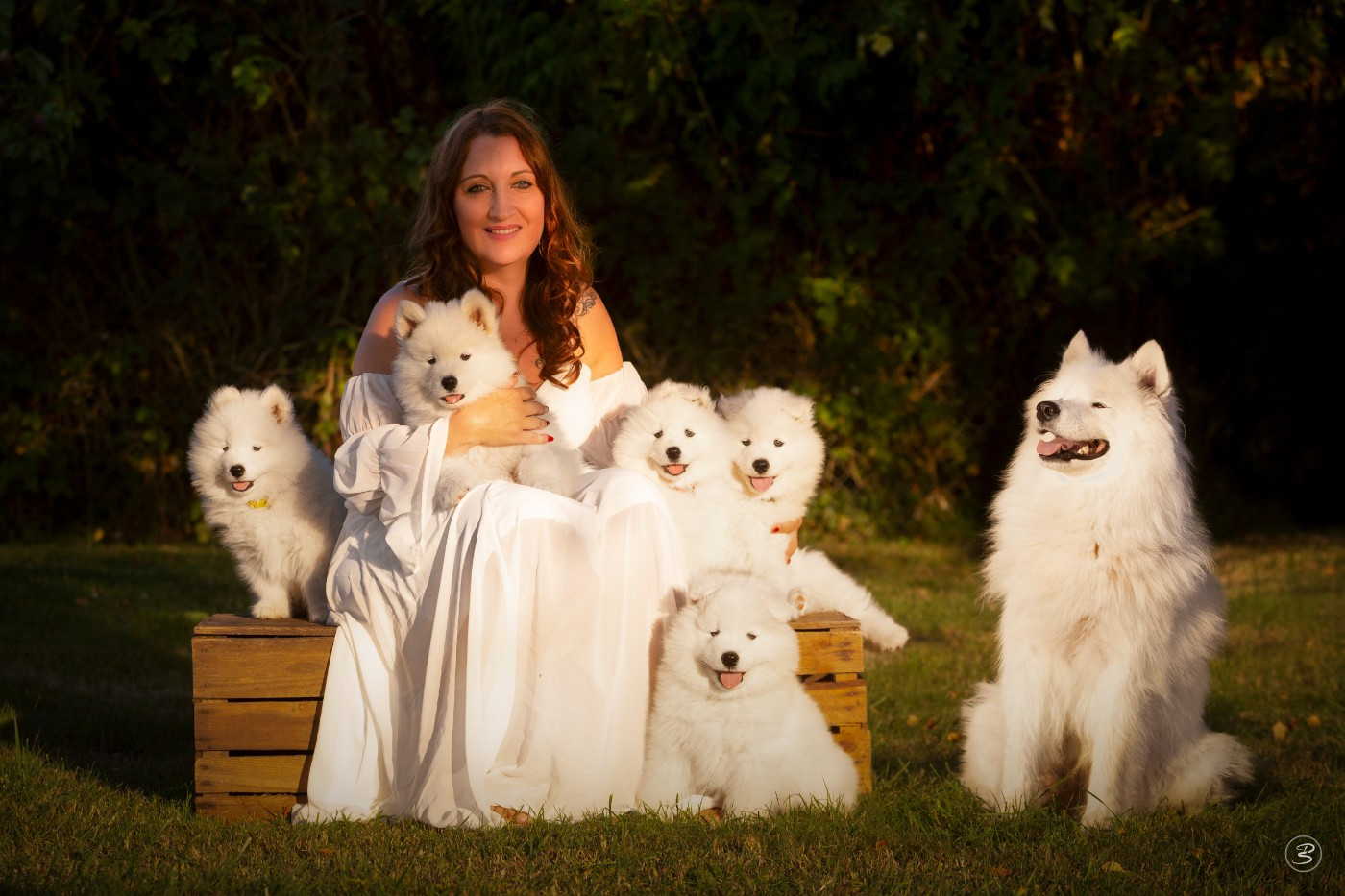 Portée Aube d'été